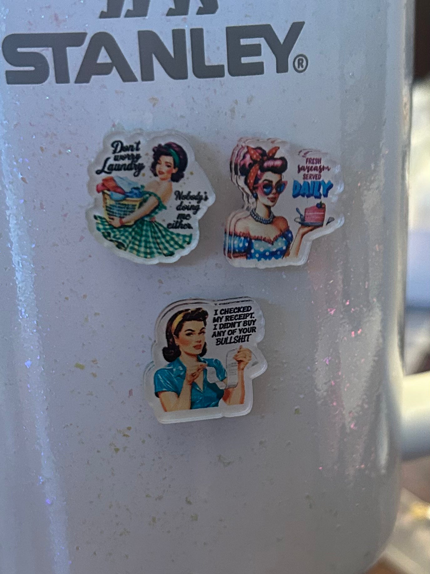 Funny Housewife Set of 3 Magnets