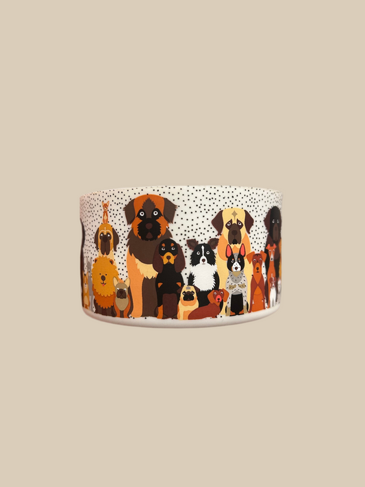 Tumbler Boot Destash Dog