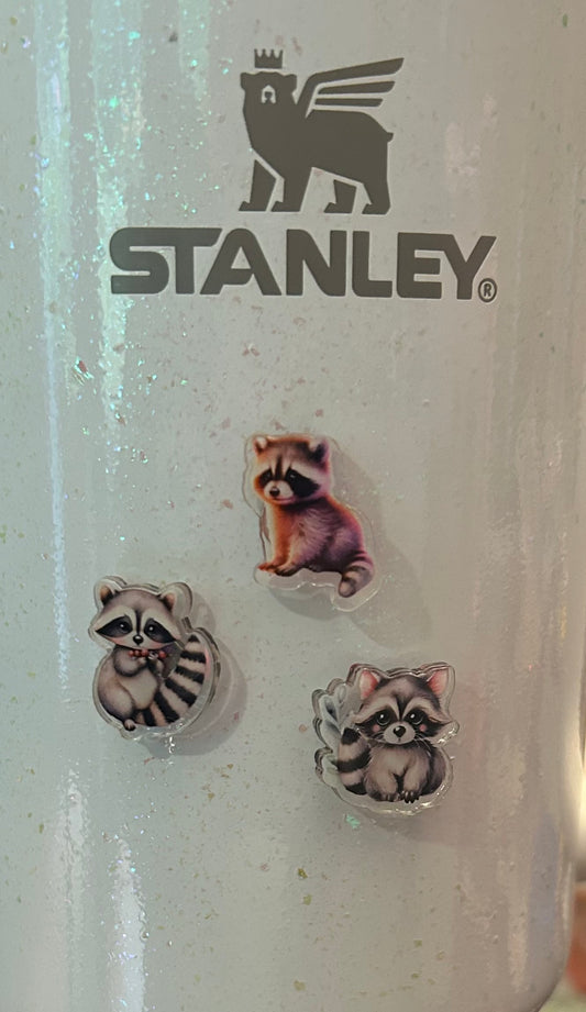 Racoon Set of 3 Magnets
