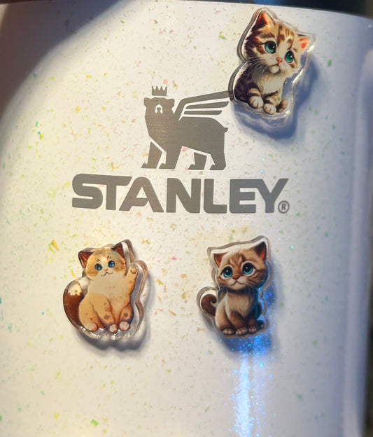 Cats Set of 3 Magnets